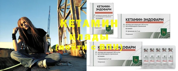 трава Белокуриха