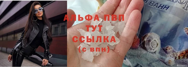 крисы Богородск