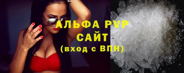 трава Белокуриха