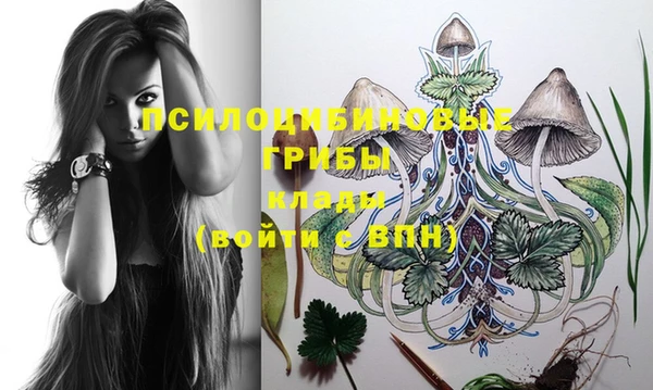 винт Белоозёрский