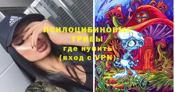 крисы Богородск