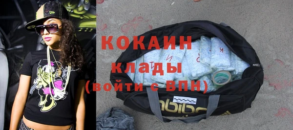 трава Белокуриха