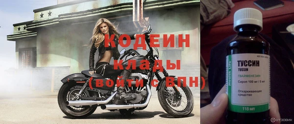 трава Белокуриха
