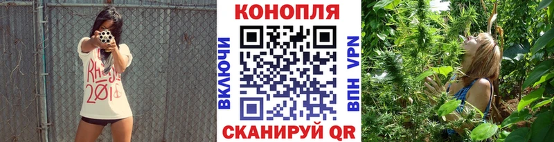 Шишки марихуана ГИДРОПОН Беломорск