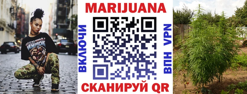Канабис индика Беломорск